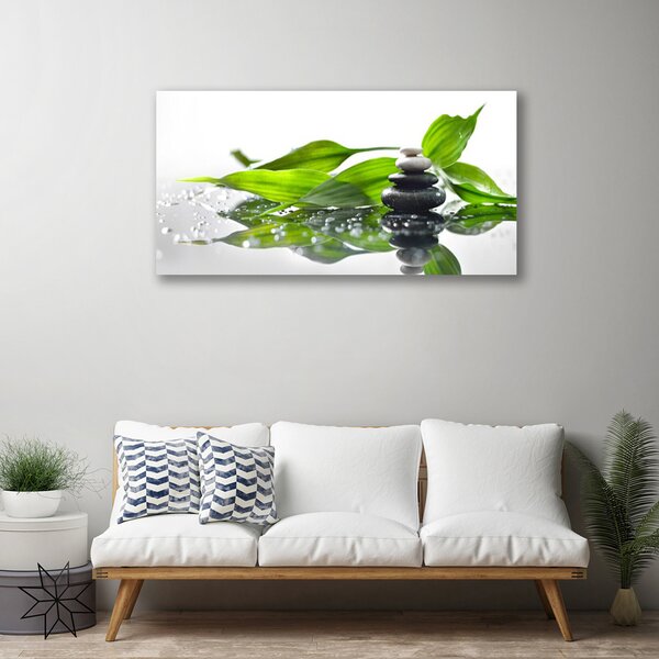 Tablou pe panza canvas Pietre Frunze Arta Negru Verde