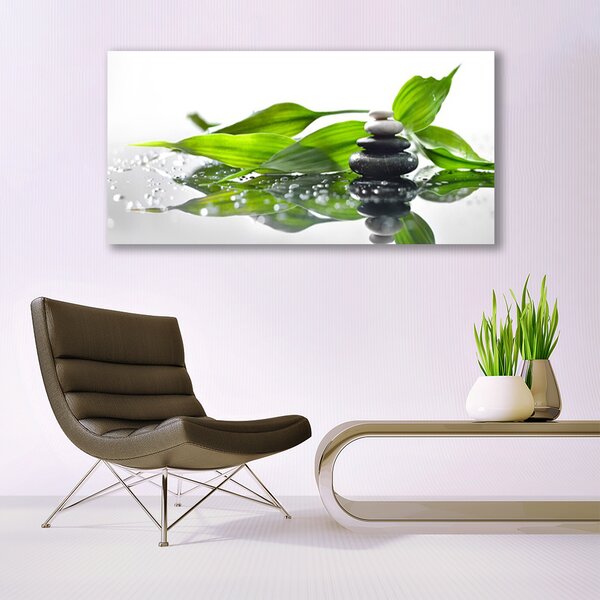 Tablou pe panza canvas Pietre Frunze Arta Negru Verde