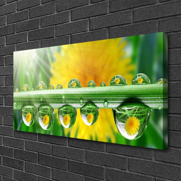 Tablou pe panza canvas Stem Picături de rouă Floral Verde