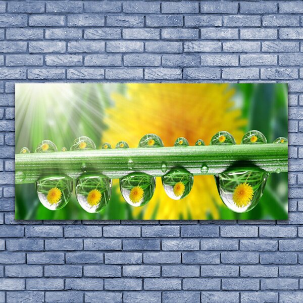 Tablou pe panza canvas Stem Picături de rouă Floral Verde