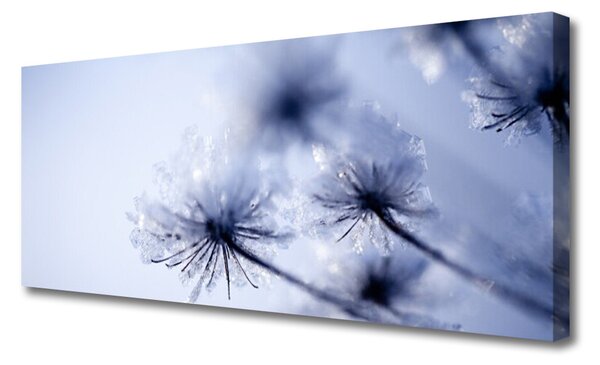 Tablou pe panza canvas Păpădie Floral violet