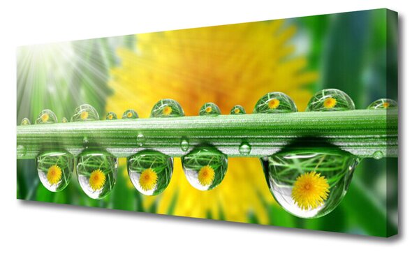 Tablou pe panza canvas Stem Picături de rouă Floral Verde