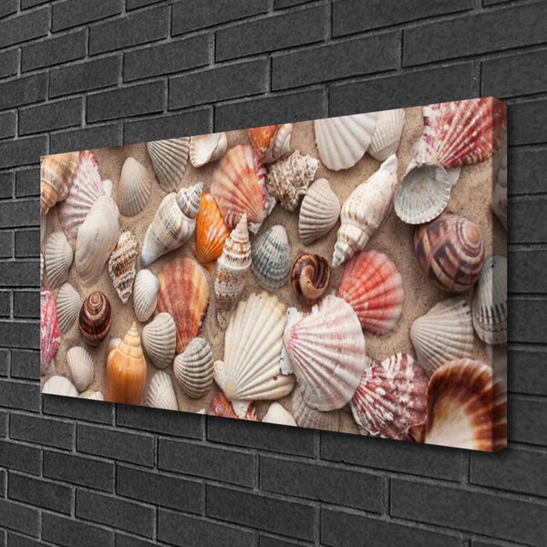 Tablou pe panza canvas Cochilii Art Alb Gri Maro Bej