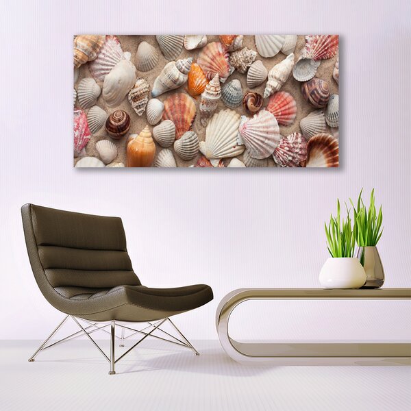 Tablou pe panza canvas Cochilii Art Alb Gri Maro Bej