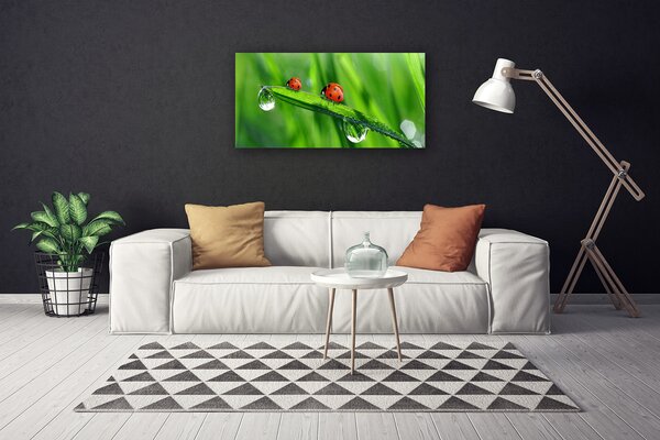 Tablou pe panza canvas Ladybird Beetle Floral Verde Roșu Negru