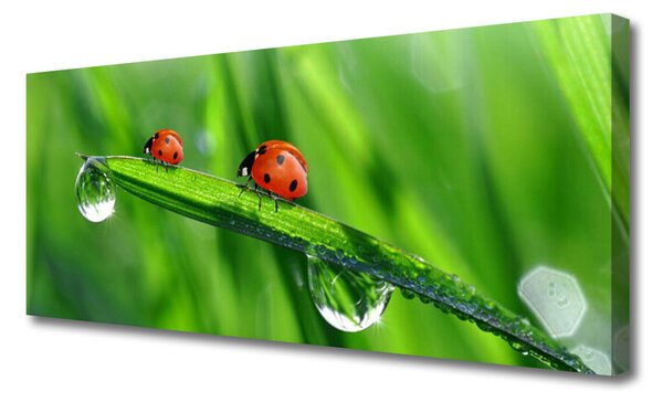 Tablou pe panza canvas Ladybird Beetle Floral Verde Roșu Negru