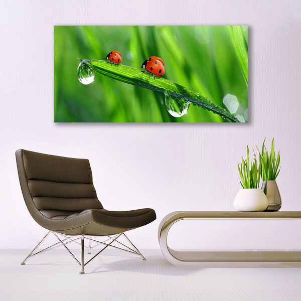 Tablou pe sticla Ladybird Beetle Floral Verde Roșu Negru