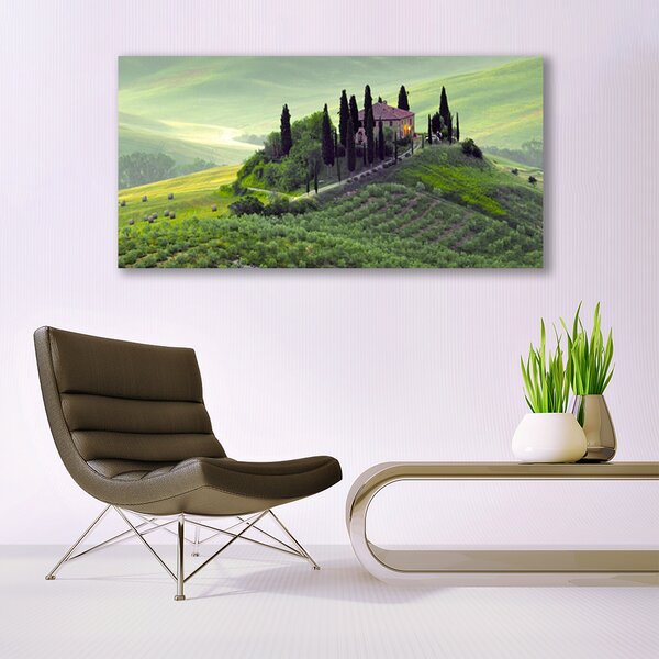 Tablou pe panza canvas Meadow Copaci Natura verde