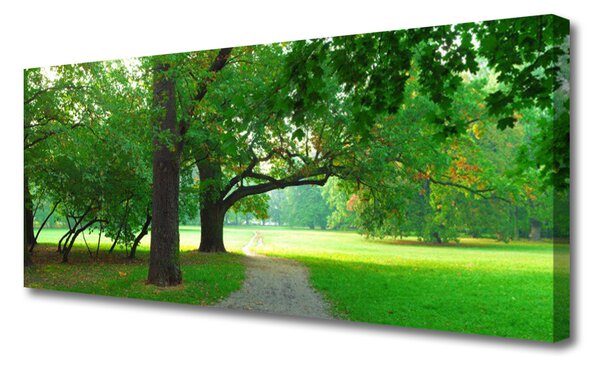Tablou pe panza canvas Poteca Copaci Natura Brun Verde