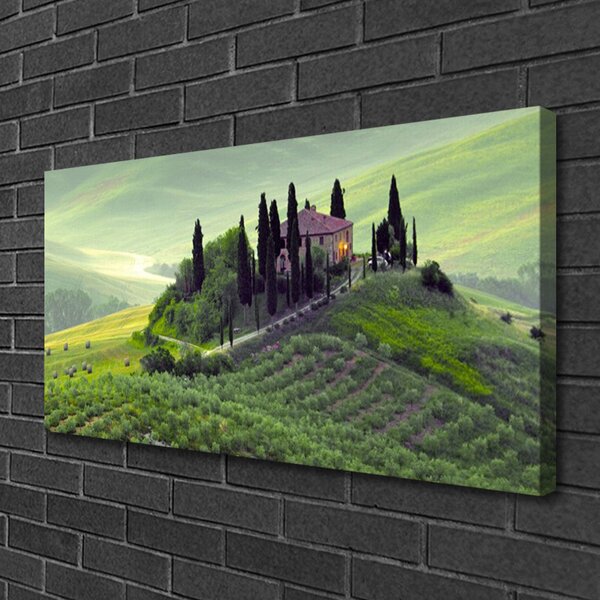 Tablou pe panza canvas Meadow Copaci Natura verde