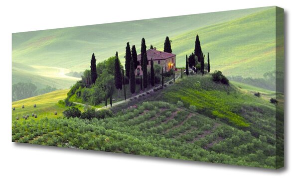 Tablou pe panza canvas Meadow Copaci Natura verde