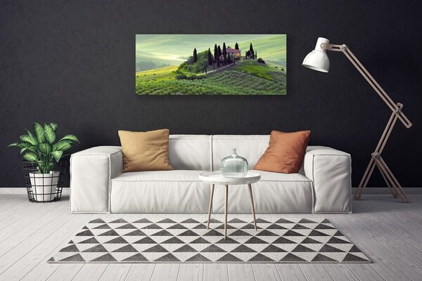 Tablou pe panza canvas Meadow Copaci Natura verde
