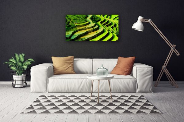 Tablou pe panza canvas Pădurea Verde Natura