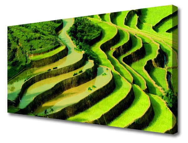 Tablou pe panza canvas Pădurea Verde Natura