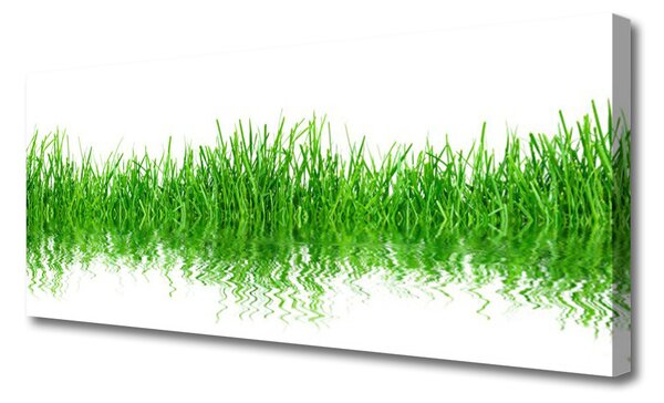 Tablou pe panza canvas Iarbă Natura verde