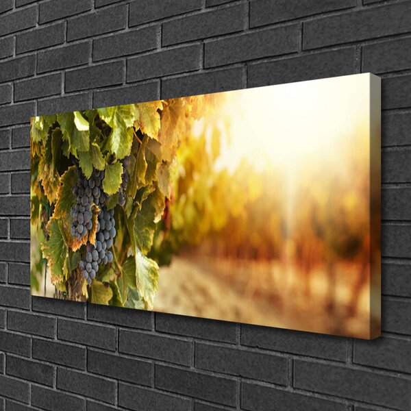 Tablou pe panza canvas Struguri Natura Verde Violet