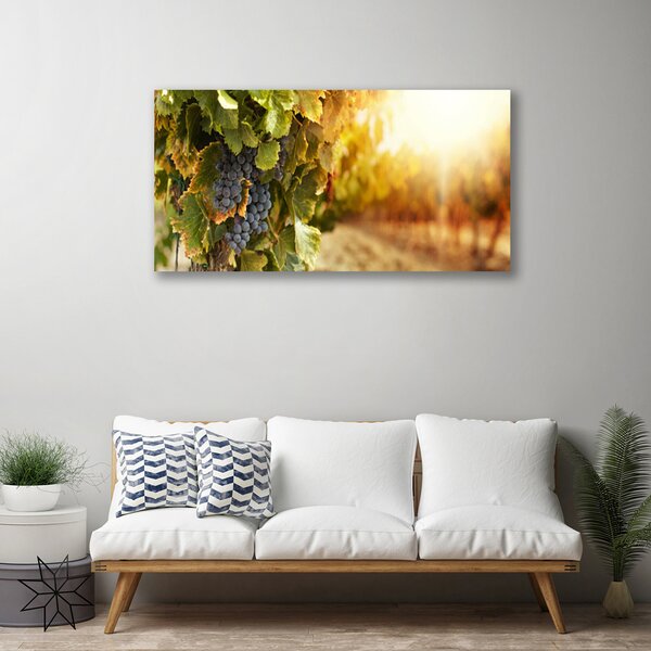 Tablou pe panza canvas Struguri Natura Verde Violet