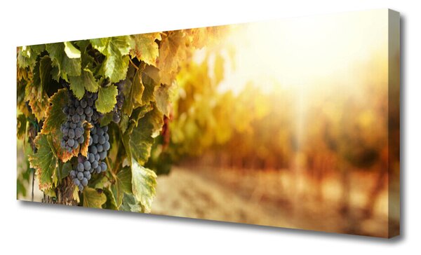 Tablou pe panza canvas Struguri Natura Verde Violet