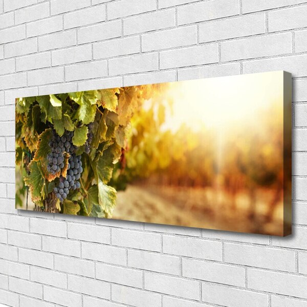 Tablou pe panza canvas Struguri Natura Verde Violet