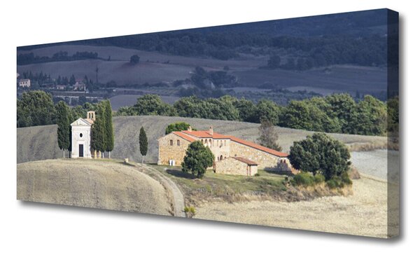 Tablou pe panza canvas Meadow Copaci Peisaj verde