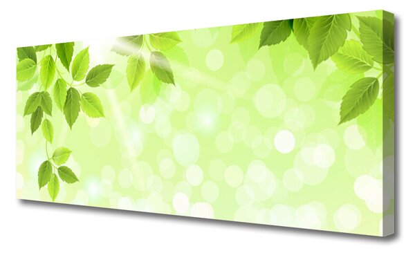 Tablou pe panza canvas Frunze verde florale