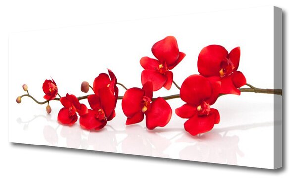 Tablou pe panza canvas Flori Floral Roșu