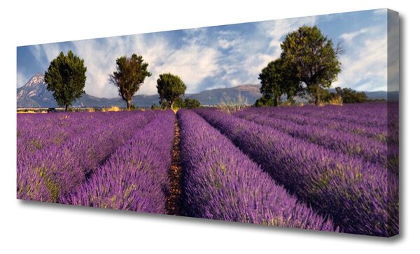 Tablou pe panza canvas Meadow Copaci Natura Roz Verde
