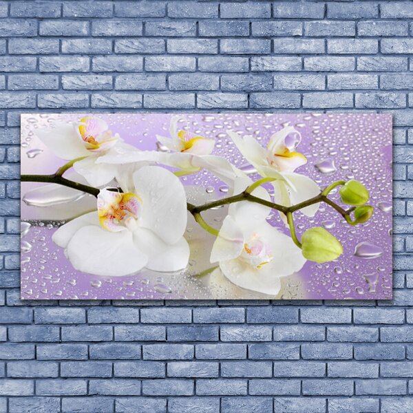 Tablou pe sticla Flori Floral alb