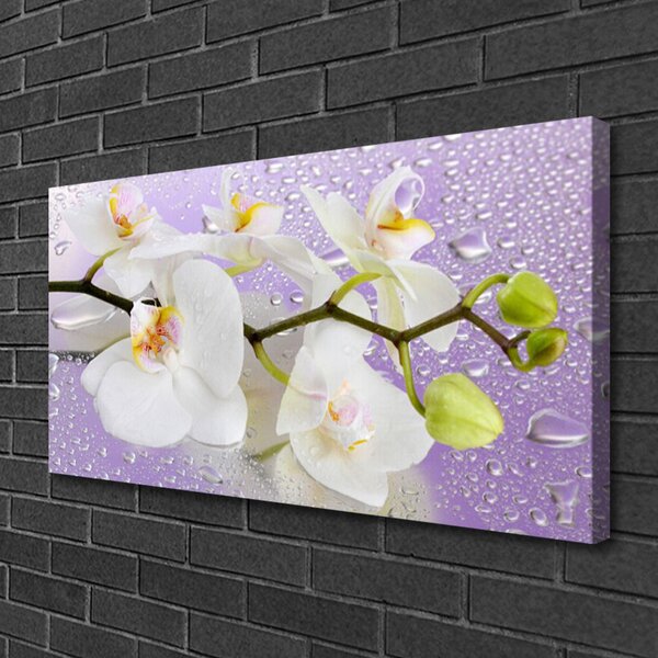 Tablou pe panza canvas Flori Floral alb