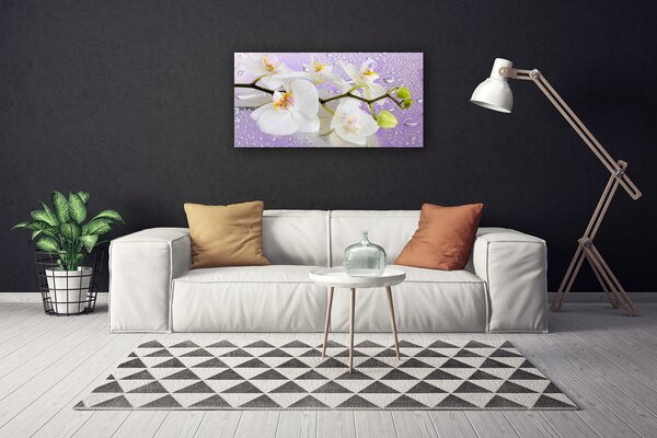 Tablou pe panza canvas Flori Floral alb