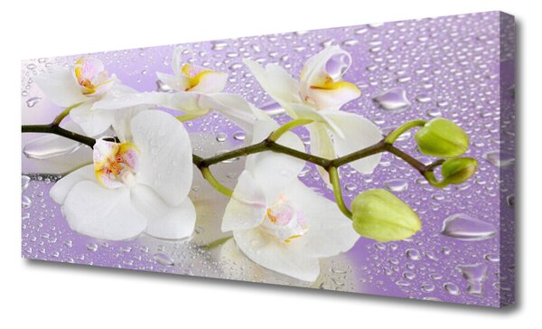 Tablou pe panza canvas Flori Floral alb