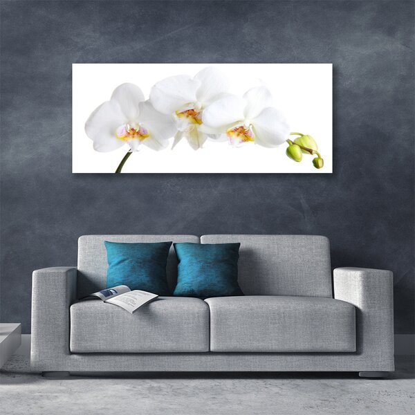 Tablou pe panza canvas Flori Floral alb