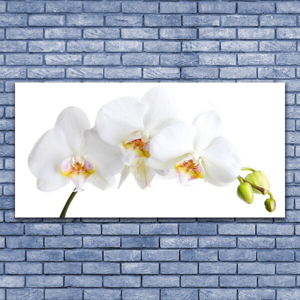 Tablou pe sticla Flori Floral alb