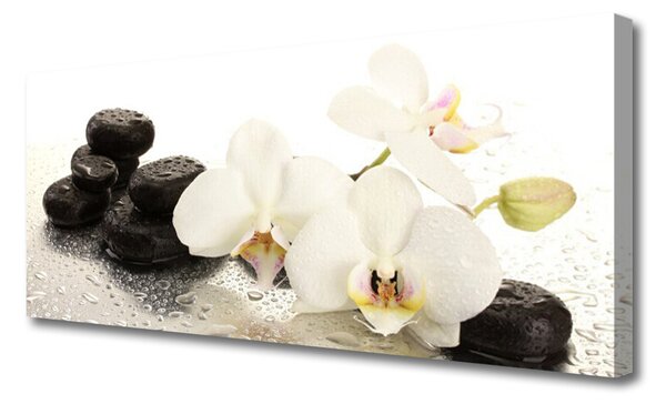 Tablou pe panza canvas Pietre florale flori alb negru
