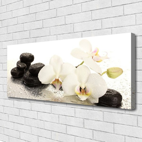 Tablou pe panza canvas Pietre florale flori alb negru
