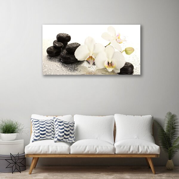 Tablou pe panza canvas Pietre florale flori alb negru