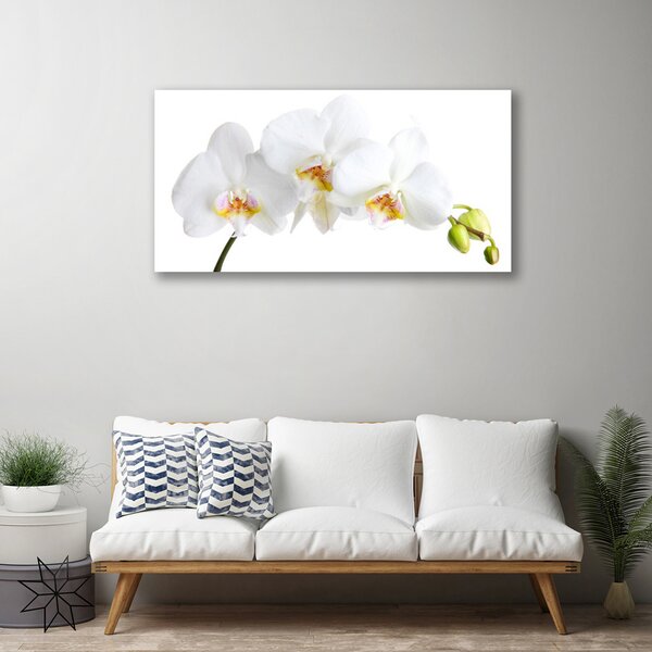 Tablou pe panza canvas Flori Floral alb