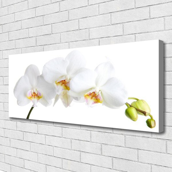 Tablou pe panza canvas Flori Floral alb