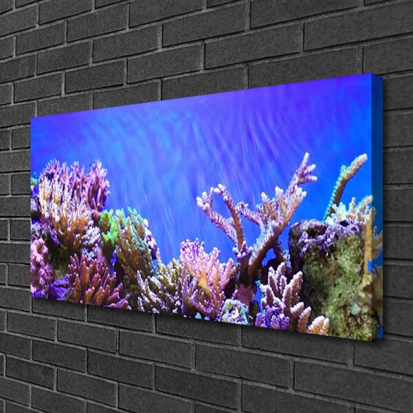 Tablou pe panza canvas Coral Reef Natura Multi