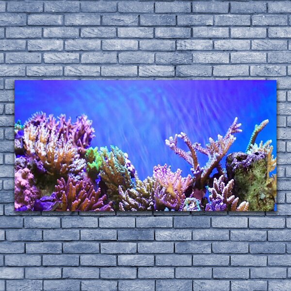 Tablou pe panza canvas Coral Reef Natura Multi