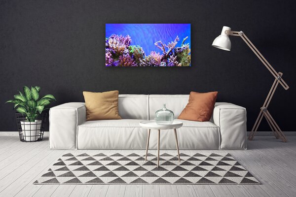 Tablou pe panza canvas Coral Reef Natura Multi