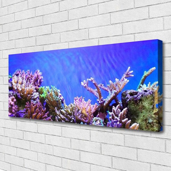 Tablou pe panza canvas Coral Reef Natura Multi