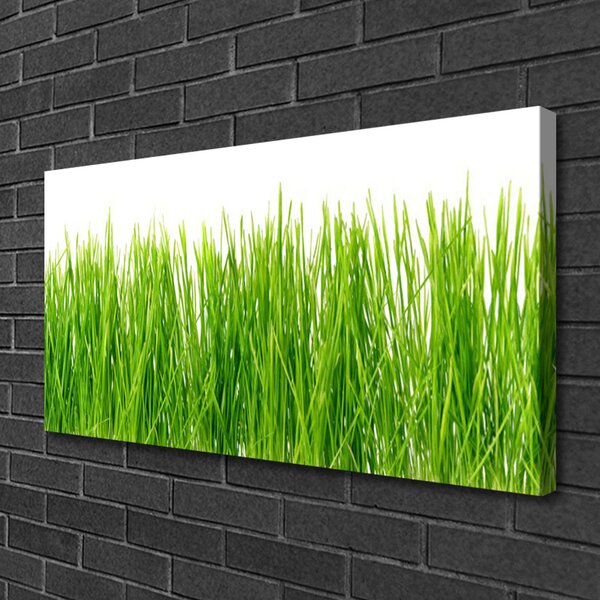 Tablou pe panza canvas Iarbă Natura verde