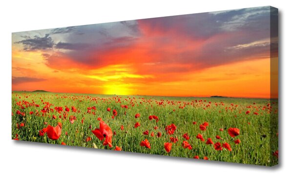 Tablou pe panza canvas Maci Sun Natura Roșu Verde Galben Gri