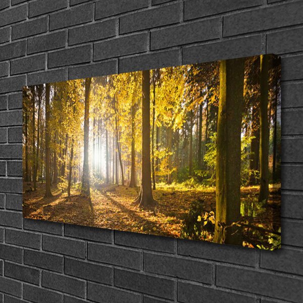 Tablou pe panza canvas Natural Pădurea Verde Maro