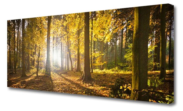 Tablou pe panza canvas Natural Pădurea Verde Maro