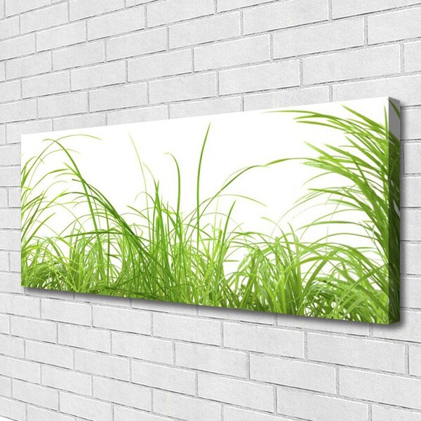 Tablou pe panza canvas Iarbă Natura verde