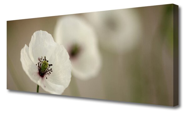 Tablou pe panza canvas Florale flori albe