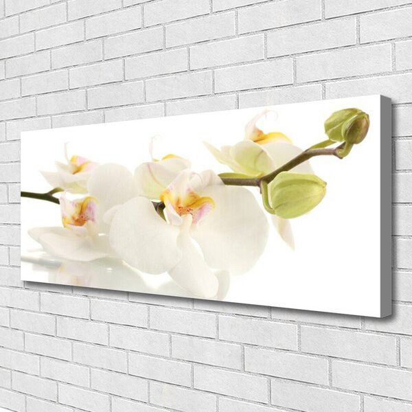 Tablou pe panza canvas Flori Floral alb