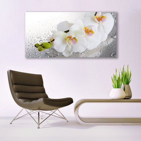 Tablou pe panza canvas Flori Floral alb